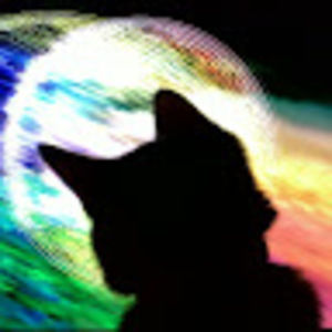 Meet your Posher, Stephen